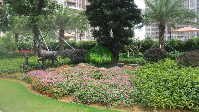 成都园林绿化工程验收规范：标准解读与执行要点
