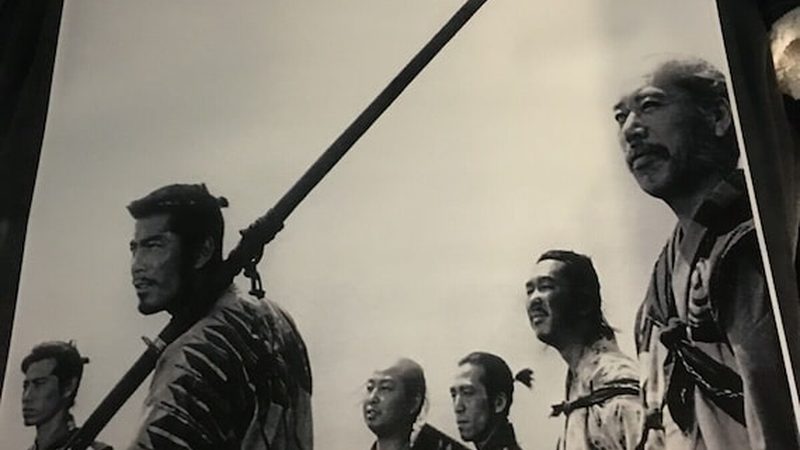 树池深度标准：如何确保树木健康生长