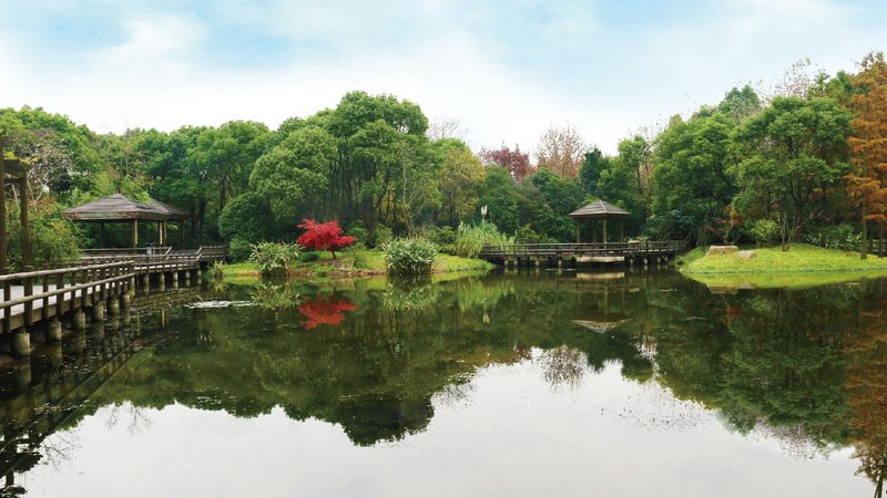 边坡客土喷播植草，这些注意事项你了解吗？**