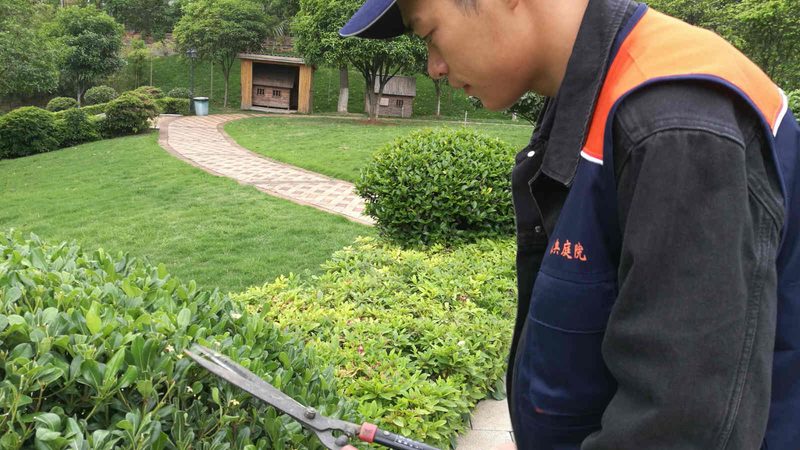 办公楼垂直绿化：打造绿色办公新风尚**