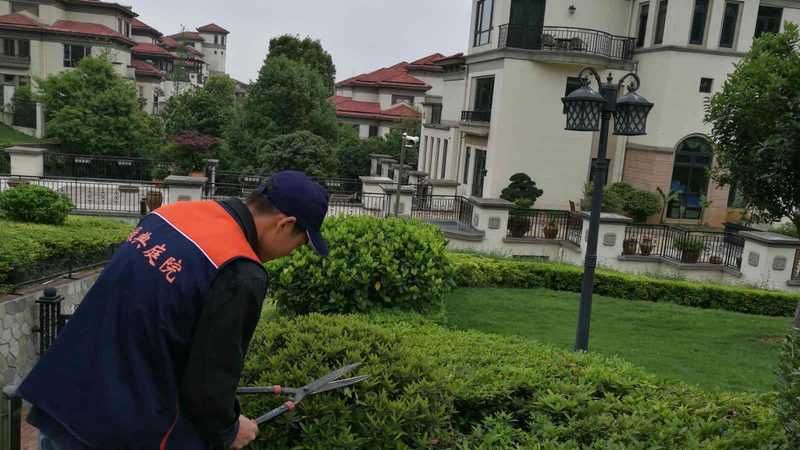 公园草坪养护合同，这五个条款最容易扯皮