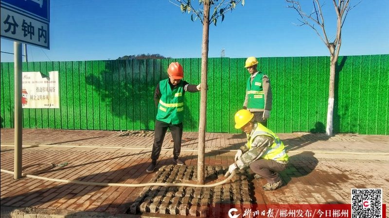 别墅花园设计资质，到底有没有官方硬性标准