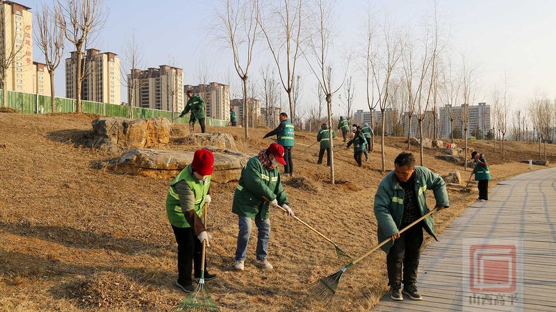 高速公路绿化隔离带植物配置：科学规划，生态和谐**