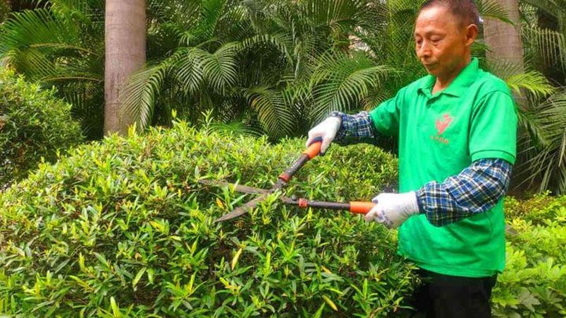 暖季型草坪秋季补播，选对草籽比春季更关键