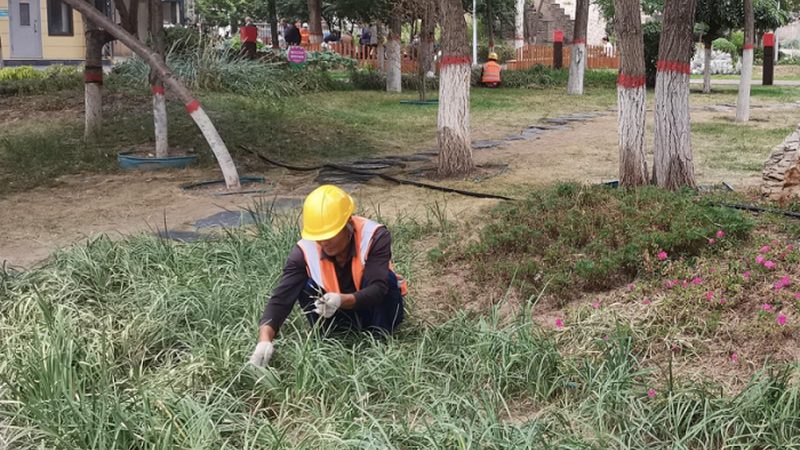 草坪沙土配比：如何确定含沙量的合适比例