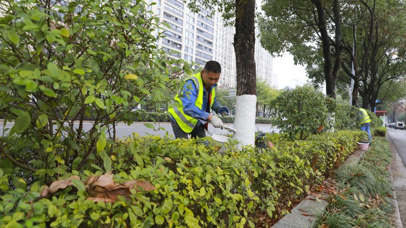 边坡抗冲刷草种怎么选？先看根系再说