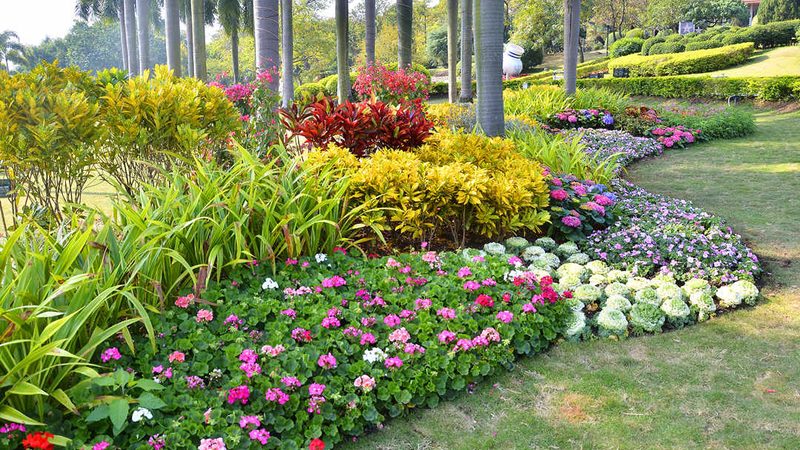 小区绿化植物搭配设计，打造宜居生态家园